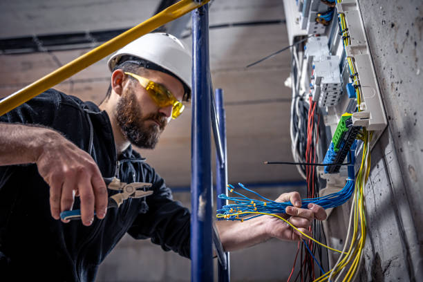 Best Electric Panel Repair  in Caon City, CO